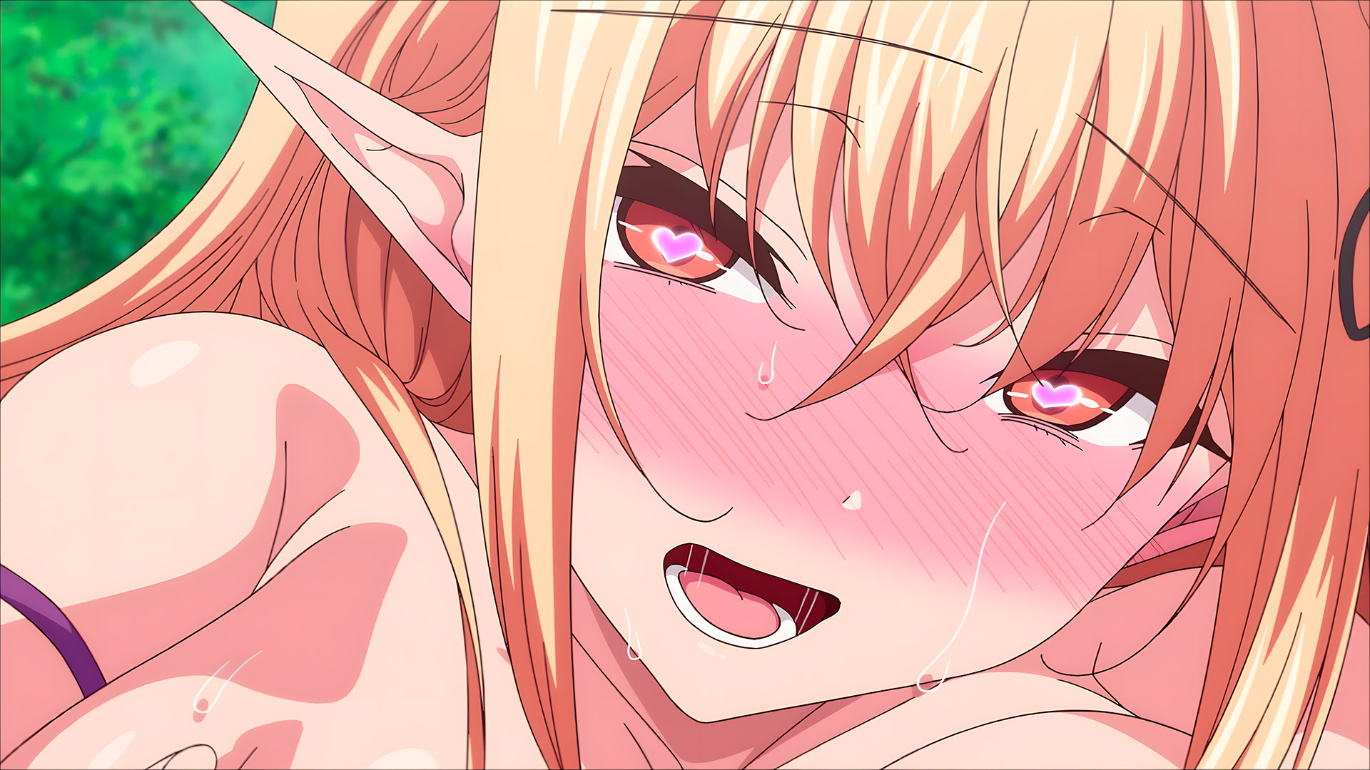ตัวอย่าง OVA 2 ของ Elf ni Inmon o Tsukeru Hon เผยออกมาแล้วก่อนเปิดตัวอย่างเป็นทางการ